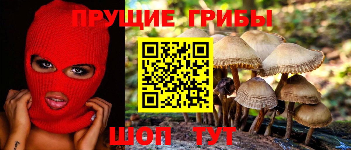Набережные Челны  Галлюциногенные грибы прущие грибы  Вход с VPN 